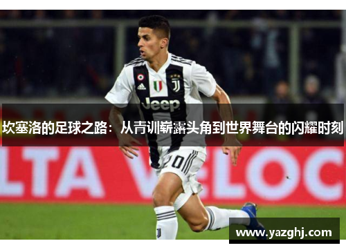 坎塞洛的足球之路：从青训崭露头角到世界舞台的闪耀时刻