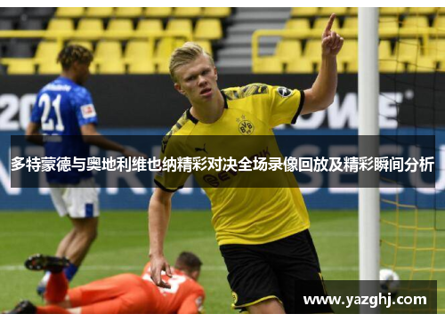 多特蒙德与奥地利维也纳精彩对决全场录像回放及精彩瞬间分析