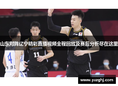 山东对阵辽宁精彩直播视频全程回放及赛后分析尽在这里