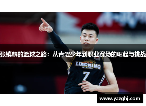张镇麟的篮球之路：从青涩少年到职业赛场的崛起与挑战